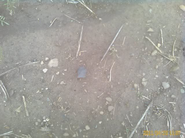 IMAGE_337.jpg