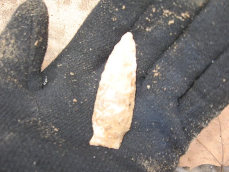 Arrowheads1-29-2010003.jpg