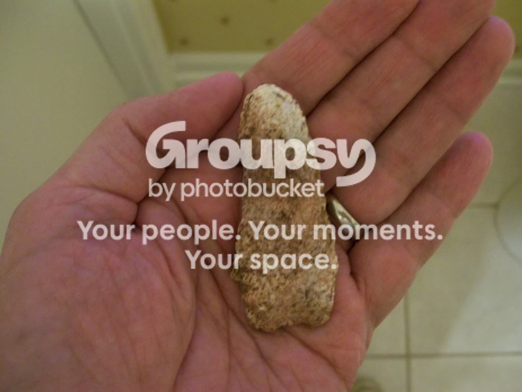 100_4592.jpg