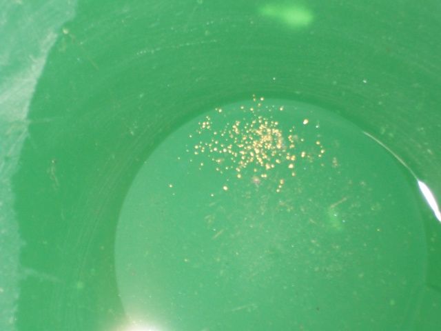 july12gold.jpg