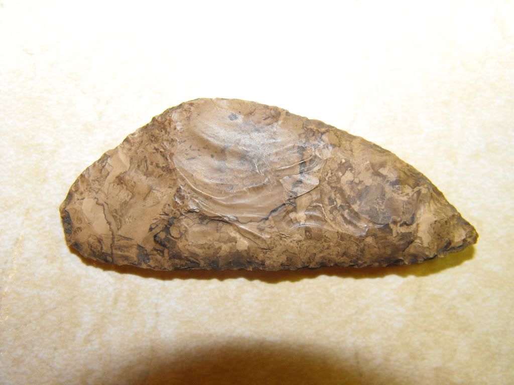 2009_0610arrowheads0013.jpg