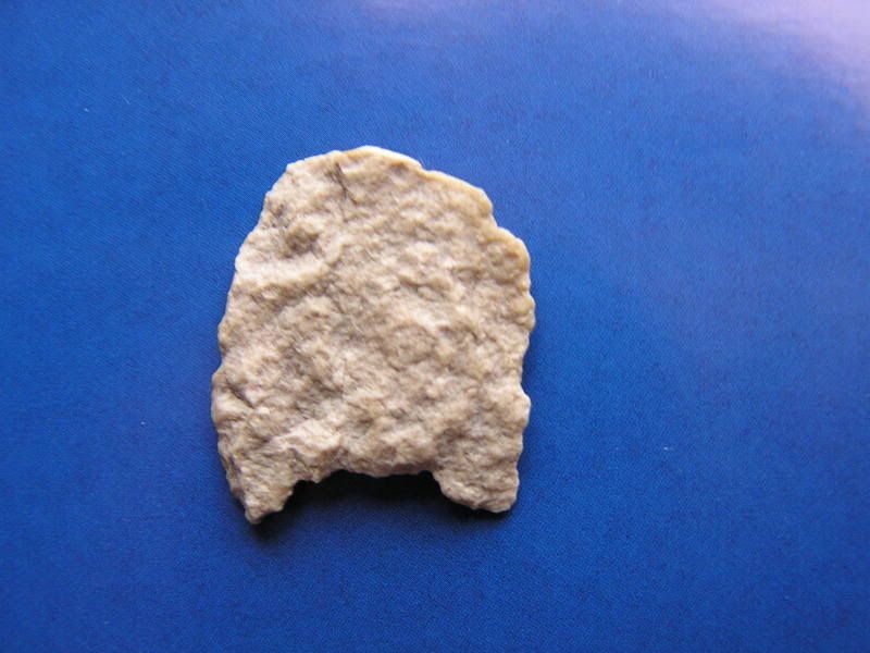 P1010135.jpg
