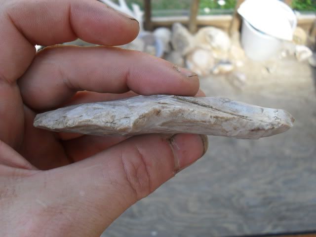 SDC10549.jpg