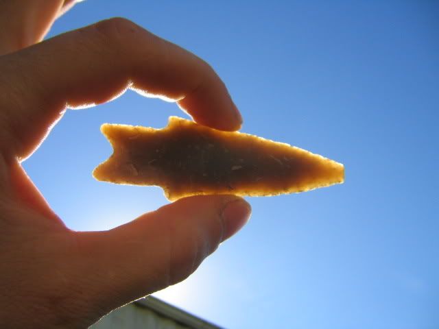 IMG_4372.jpg