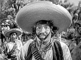 Federales.jpg