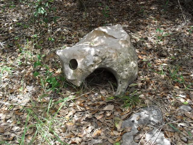SDC17602.jpg