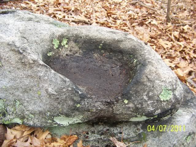 Indianpestel007.jpg
