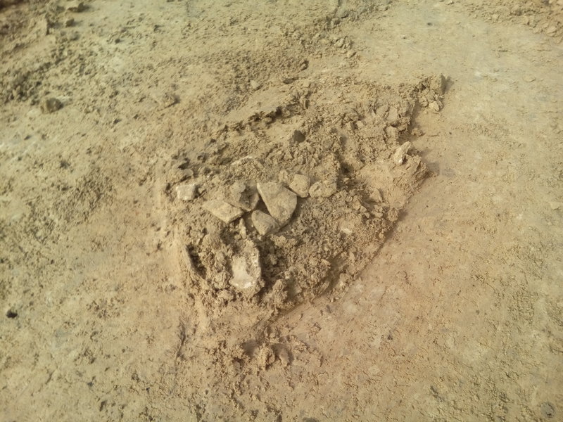 28600645mt.jpg