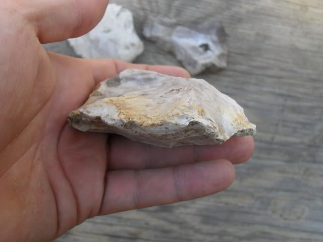 SDC10484.jpg