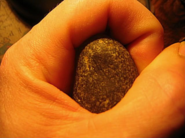 IMG_4173.jpg