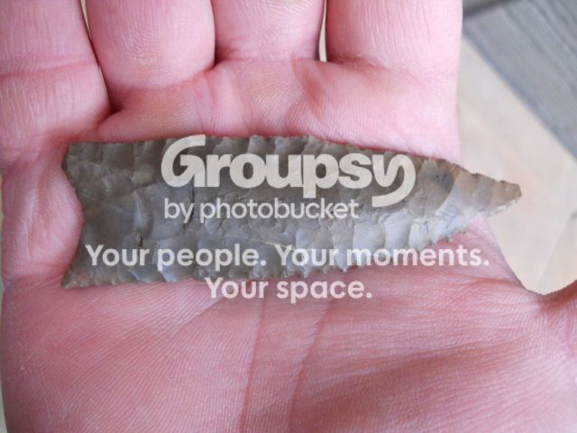 DSCN1169.jpg