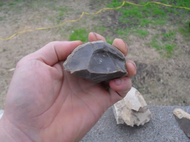 SDC10391.jpg