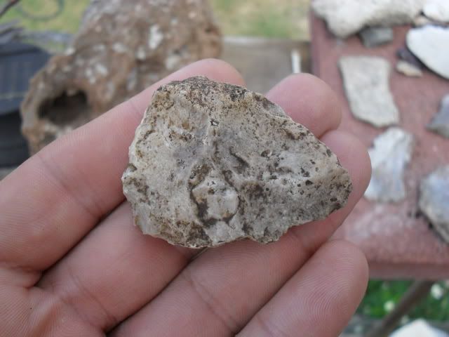 SDC10538.jpg