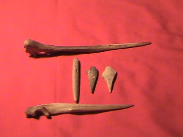 boneawls037.jpg