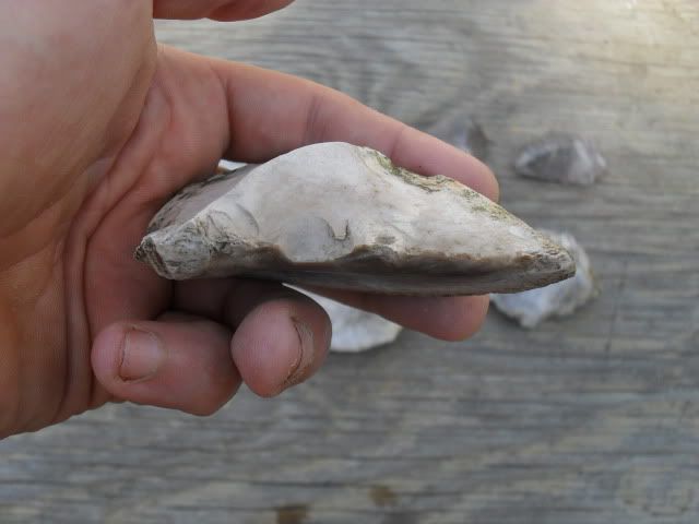 SDC10478.jpg
