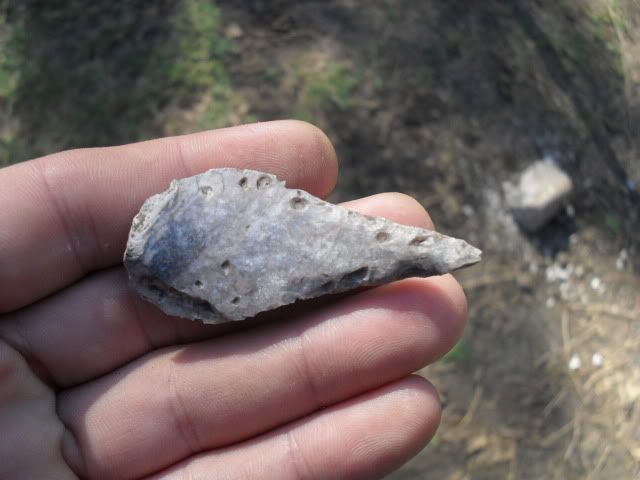 SDC10939.jpg