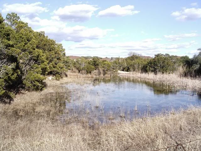 IMAG0032.jpg