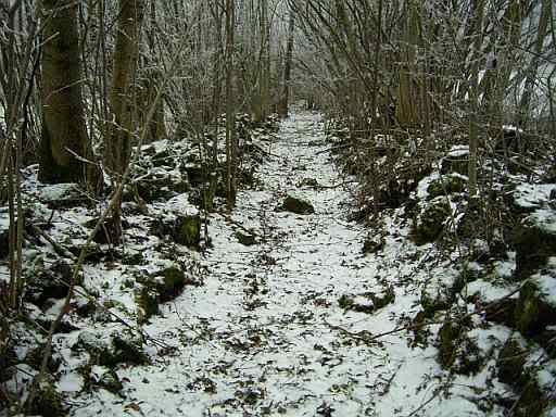 28Dec07cart2mid.jpg