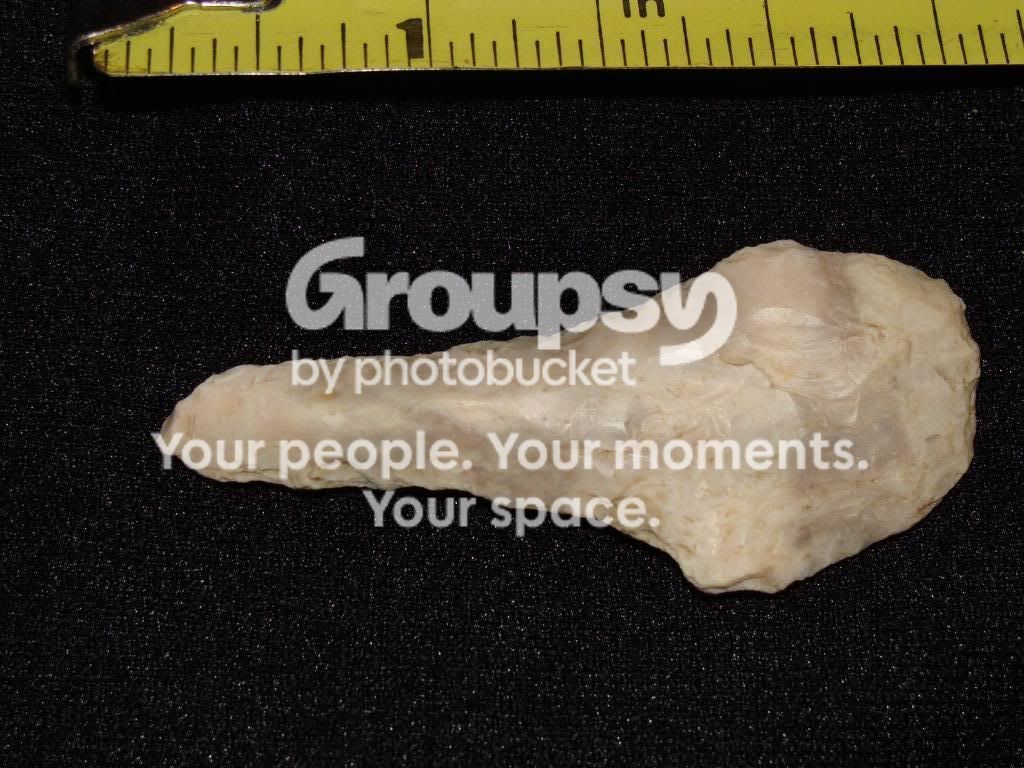DSC00085.jpg