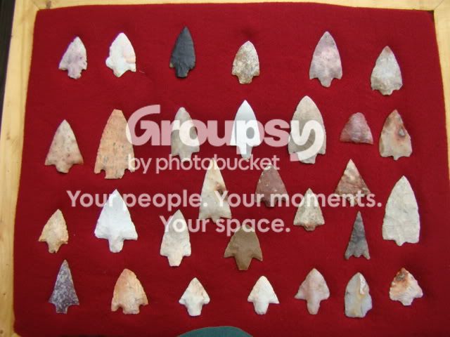 DSC08237.jpg