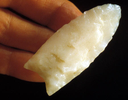 cactushillwhitepointhand.jpg