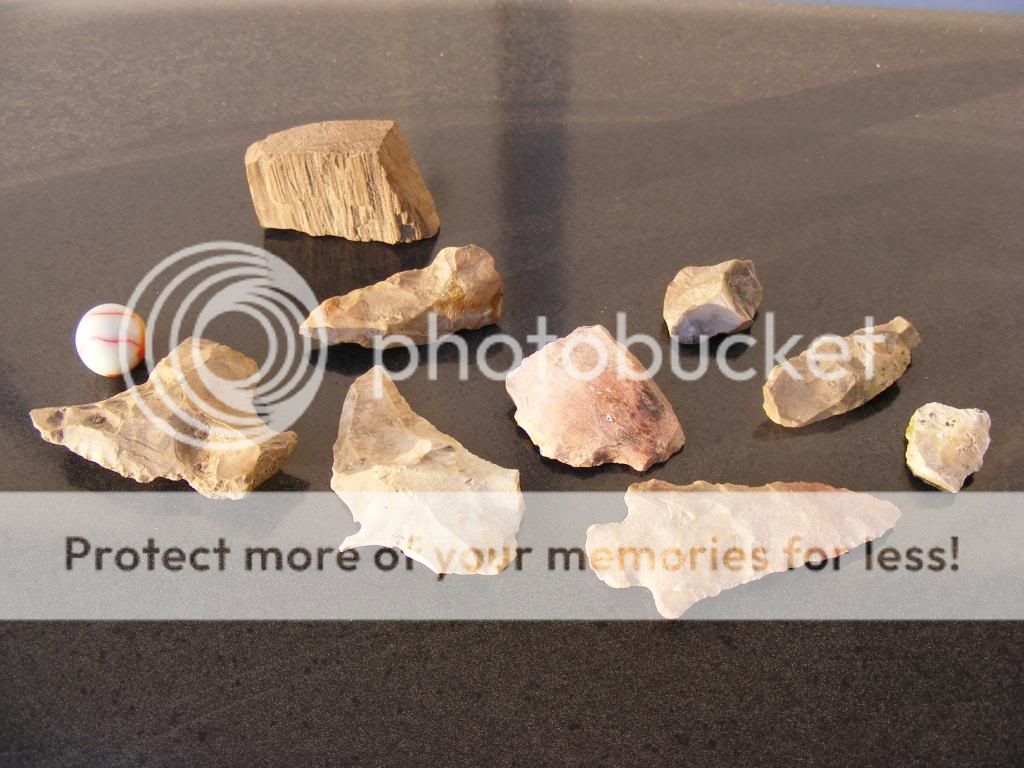 2009_03043-4-9heads0001.jpg