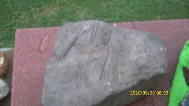 DSCI0001-2.jpg