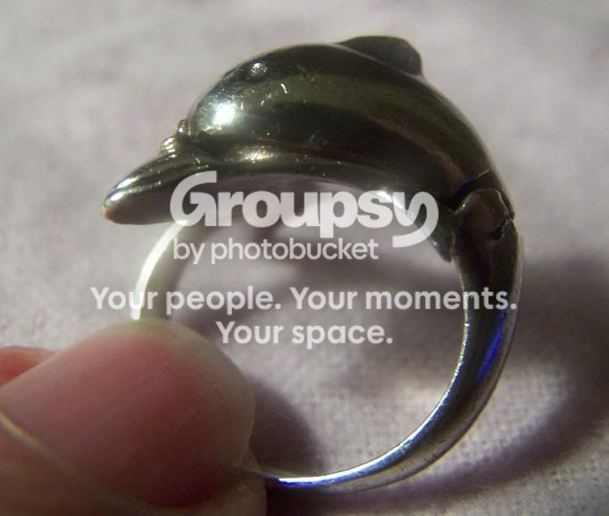 RingDolphin0529093.jpg