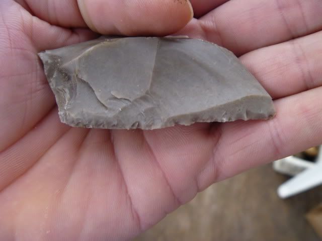 P1010043.jpg