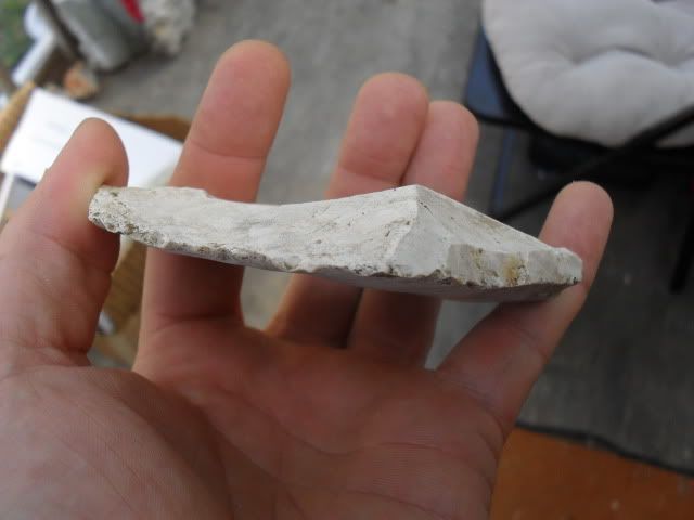 SDC10556.jpg