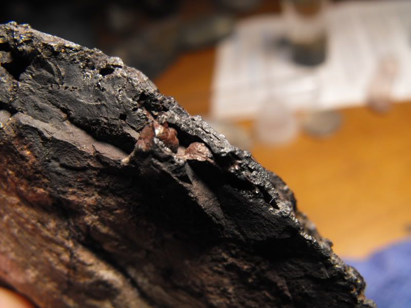 samples021.jpg