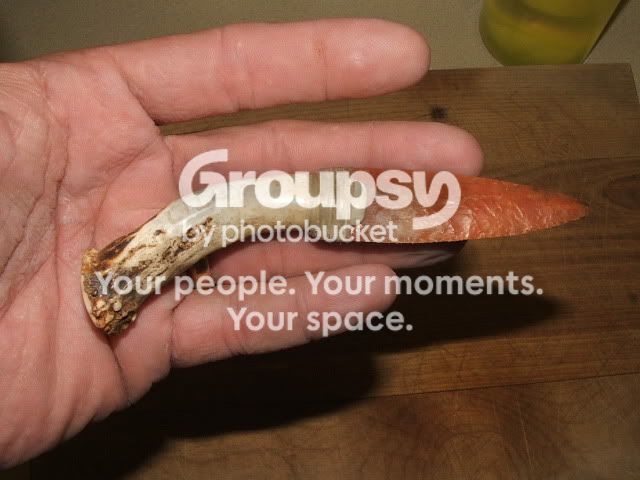 DSCF3974.jpg