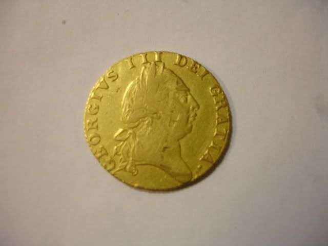 guinea004.jpg