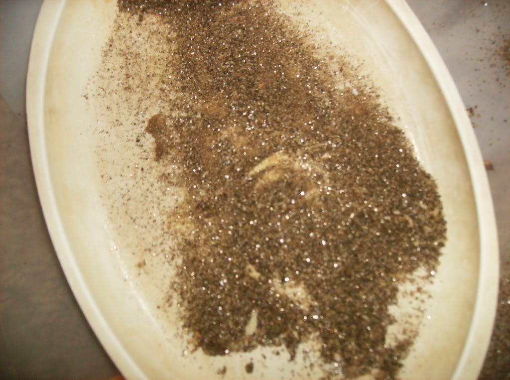 HPIM0726.jpg