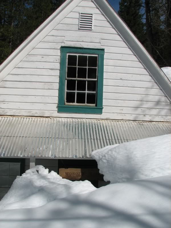 Forest_3-30-11006.jpg