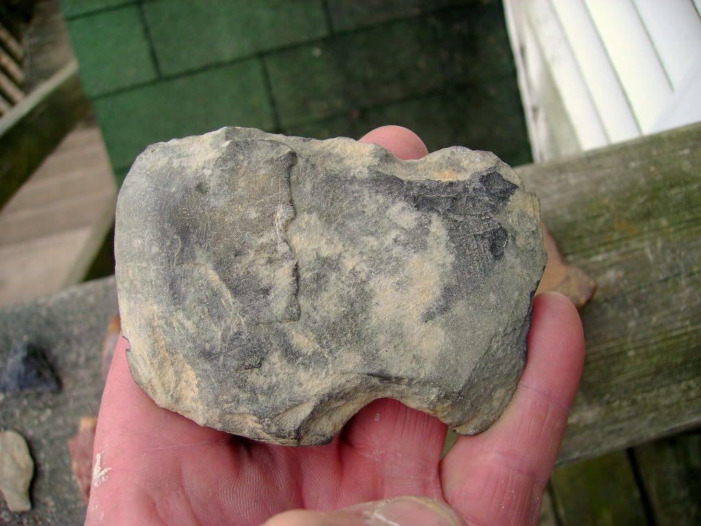 DSC02001.jpg