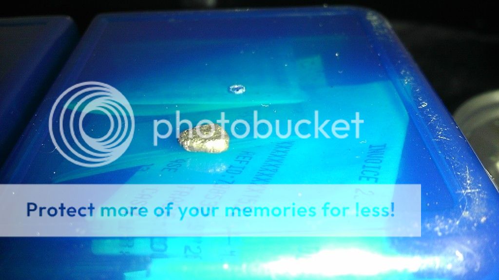 IMAG0999.jpg