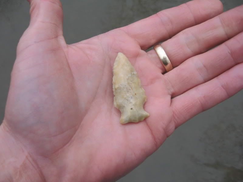 Arrowheads1-29-2010005.jpg