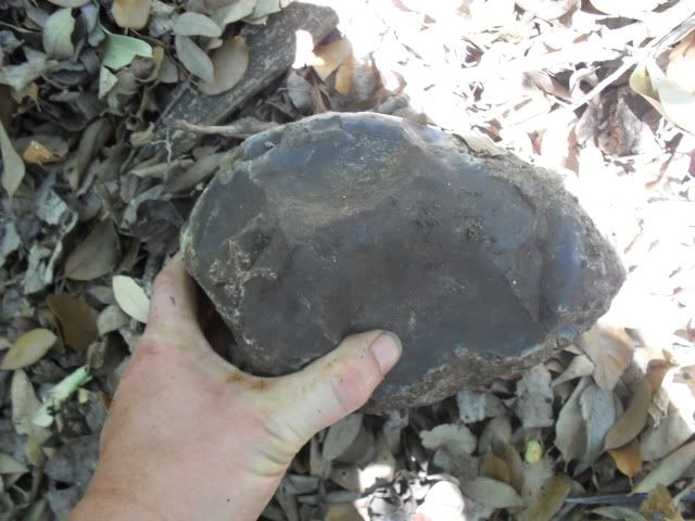 SDC10471.jpg