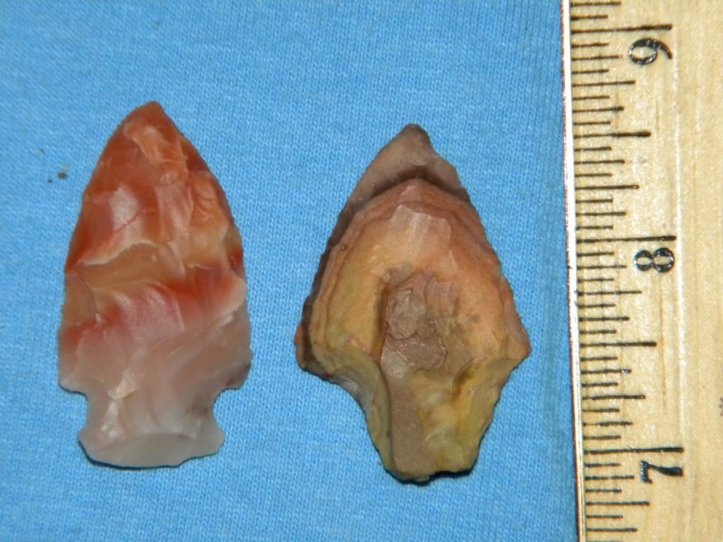DSCN1220.jpg