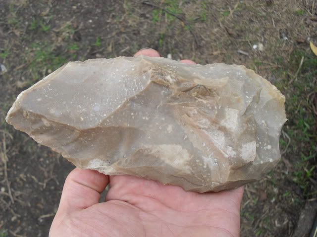 SDC10230.jpg
