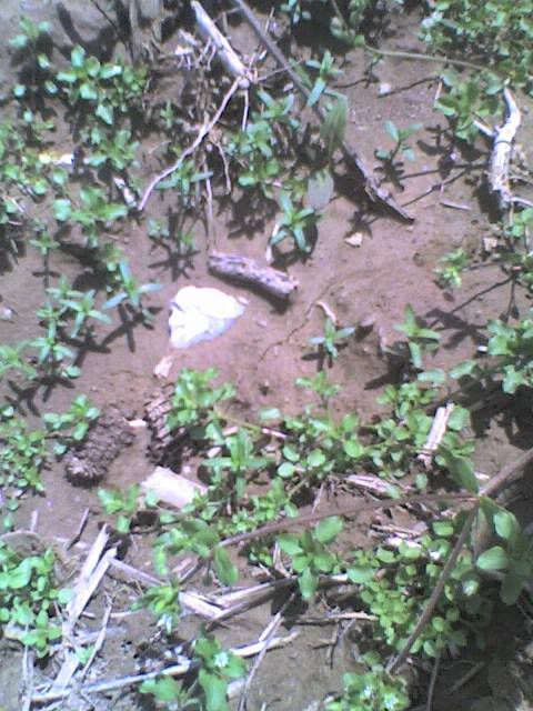 050909_1501a.jpg