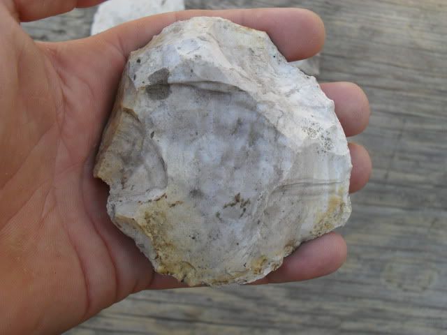 SDC10483.jpg