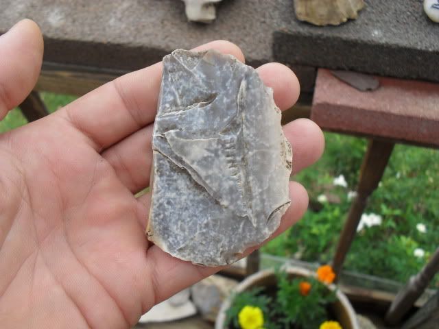 SDC10770.jpg