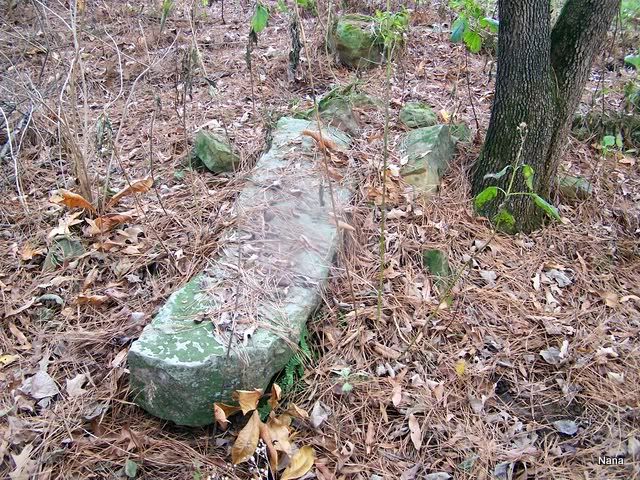 100_3325.jpg