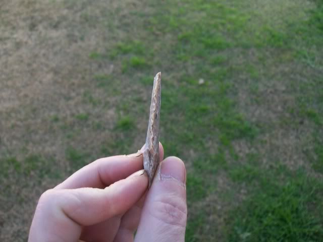 100_0434.jpg