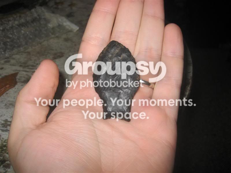 IMG_4551Medium.jpg