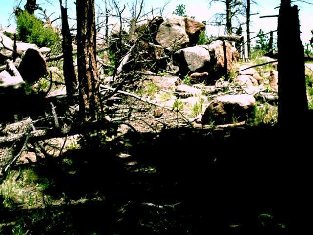 OmegaBeforeCleaningResized.jpg