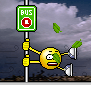 windy.gif