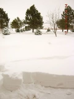 DSCN2151.jpg